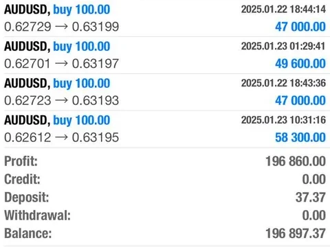 Neoh MT4 history, day view: profit 196,860.00