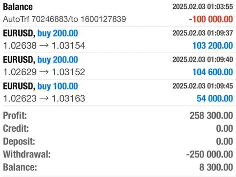 Neoh MT4 history, day view: profit 258,300.00